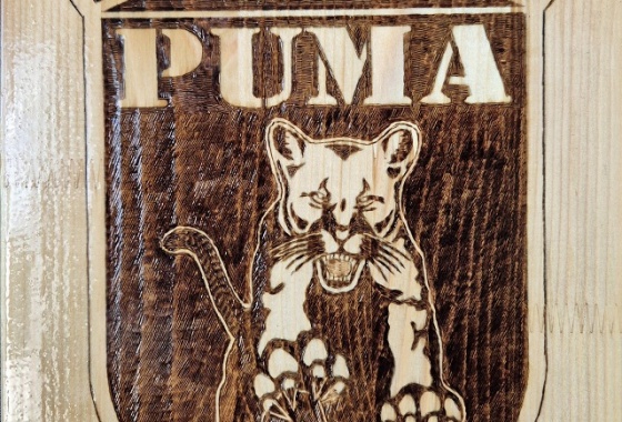 OBAVIJEST O NOVOJ PONUDI U ARTIKLIMA „PUMA“.. 